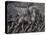 Robert Gould Shaw in Command of Black Troops of the 54th Massachusetts Regiment-null-Premier Image Canvas