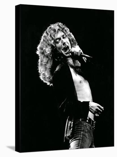 Robert Plant-Richard E^ Aaron-Stretched Canvas