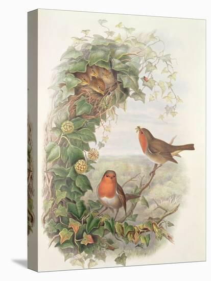 Robin, 1873-John Gould-Premier Image Canvas