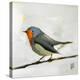 Robin on Wire-Angela Moulton-Stretched Canvas