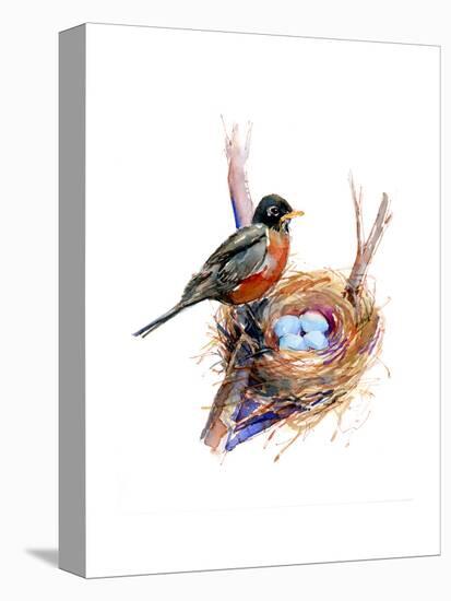 Robin with Nest;2016-John Keeling-Premier Image Canvas