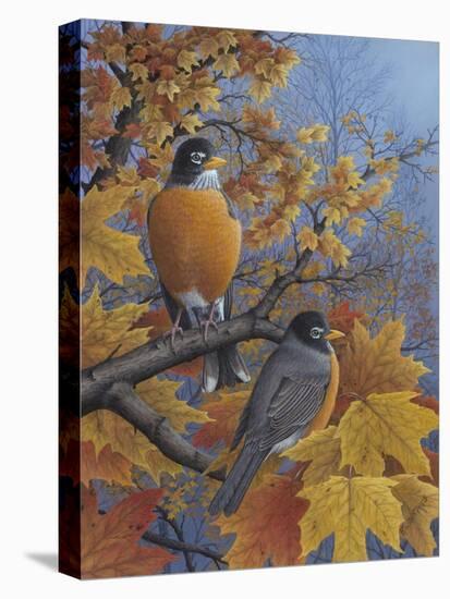 Robins-Robert Wavra-Premier Image Canvas