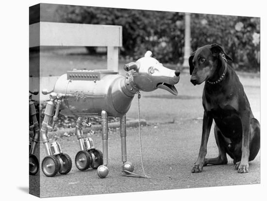 Robot Dog Meets a Real Doberman Dog-null-Premier Image Canvas