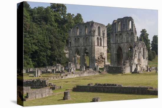 Roche Abbey, South Yorkshire, Yorkshire, England, United Kingdom, Europe-Rolf Richardson-Premier Image Canvas