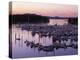 Roche Harbor Marina At dusk, San Juan Island, Washington, USA-Charles Gurche-Premier Image Canvas