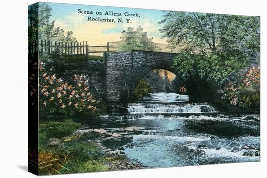 Rochester, New York - Allen's Creek Scene-Lantern Press-Stretched Canvas