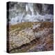 Rock and Water-Ken Bremer-Stretched Canvas