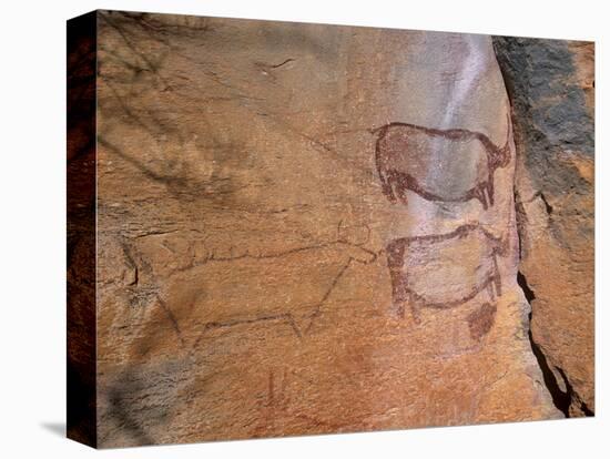 Rock Art, Rhinos, Tsodilo Hills, Ngamiland, Botswana, Africa.-Patrick Dieudonne-Premier Image Canvas