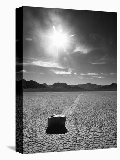 Rock at Racetrack Playa-Aaron Horowitz-Premier Image Canvas