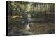 Rock Bridge White Tails-Bruce Dumas-Premier Image Canvas