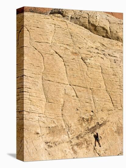 Rock Climber, Red Rock National Conservation Area, Las Vegas, Nevada, United States of America, Nor-Ethel Davies-Premier Image Canvas