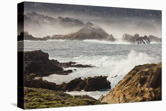 Rock Coast Near Point Lobos State Natural Reserve, Carmel by the Sea, California, Usa-Rainer Mirau-Premier Image Canvas