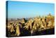 Rock-Cut Topography at Uchisar, Cappadocia, Anatolia, Turkey, Asia Minor-Christian Kober-Premier Image Canvas