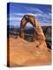 Rock Formation Caused by Erosion known as Delicate Arch, Arches National Park, Utah, USA-Gavin Hellier-Premier Image Canvas