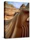 Rock formation in the Paria Canyon, Utah-Roland Gerth-Premier Image Canvas