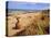 Rock Formations and Dunes, Ridell Beach, Broome, Western Australia, Australia-Richard Ashworth-Premier Image Canvas