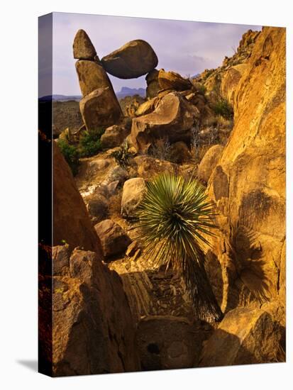 Rock Formations in Grapevine Hills, Big Bend National Park, Texas, USA-Jerry Ginsberg-Premier Image Canvas