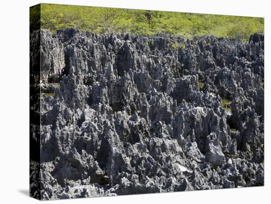 Rock Formations in Hell, Grand Cayman, Cayman Islands, Greater Antilles, West Indies, Caribbean-Richard Cummins-Premier Image Canvas