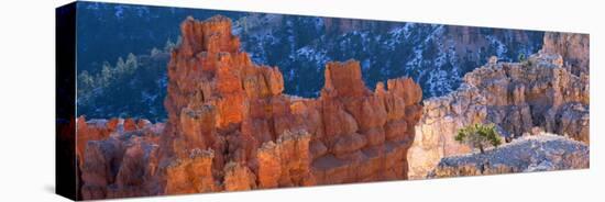 Rock Formations in the Grand Canyon, Bryce Canyon National Park, Utah, USA-null-Premier Image Canvas