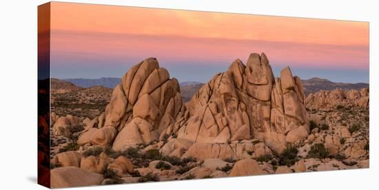 Rock formations on a landscape, Joshua Tree National Park, California, USA-null-Premier Image Canvas