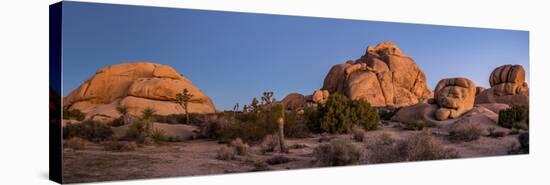 Rock formations on landscape with Juniper and Joshua Trees, Joshua Tree National Park, Californi...-null-Premier Image Canvas