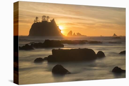 Rock Formations Silhouetted At Sunset On The Pacífic Coast Of Olympic National Park-Inaki Relanzon-Premier Image Canvas