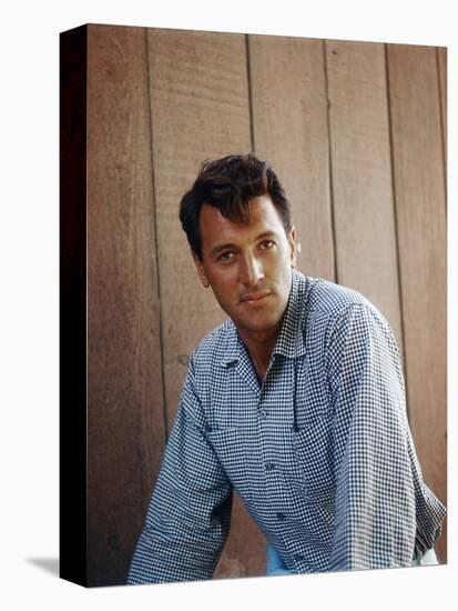 Rock Hudson-null-Stretched Canvas