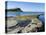 Rock Ledges and Clavell Tower in Kimmeridge Bay, Isle of Purbeck, Jurassic Coast-Roy Rainford-Premier Image Canvas