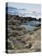 Rock Pools Where Locals Collect Salt, Alaties Beach Area, Kefalonia, Ionian Islands, Greece-R H Productions-Premier Image Canvas