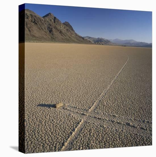 Rock Pushed by Wind in Desert-Micha Pawlitzki-Premier Image Canvas