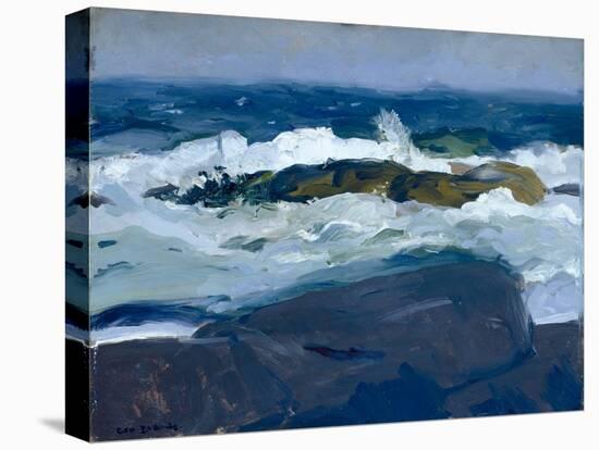 Rock Reef, Maine, 1913 (Oil on Wood)-George Wesley Bellows-Premier Image Canvas