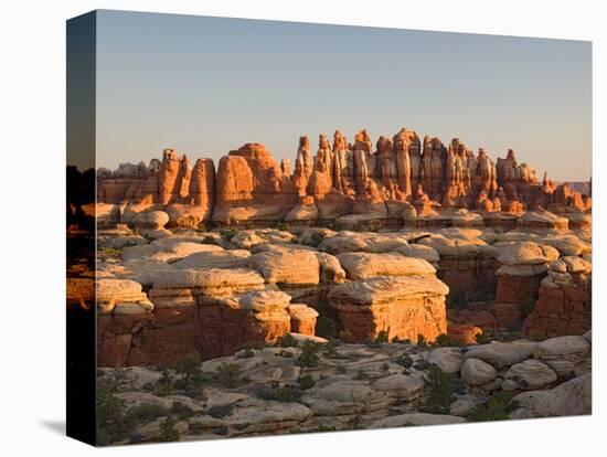Rock Spires and Grabens at Chesler Park, The Needles, Canyonlands National Park, Utah, USA-Jamie & Judy Wild-Premier Image Canvas