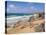 Rock Stacks, Beach and Rugged Coastline at Bedruthan Steps, North Cornwall, England-Neale Clark-Premier Image Canvas