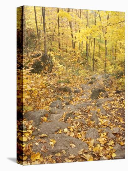 Rock Stairs on the Sugarloaf Trail, White Mountain National Forest, New Hampshire, USA-Jerry & Marcy Monkman-Premier Image Canvas