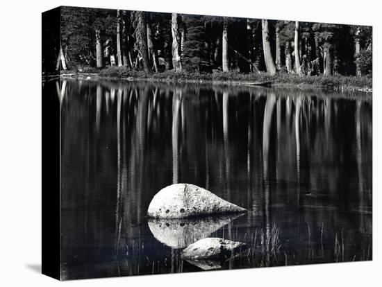 Rock, water, tree, High Sierra (b/w photo)-Brett Weston-Premier Image Canvas