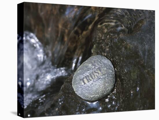 Rock with the Word Trust in Water-null-Premier Image Canvas