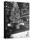 Rockefeller Center Christmas Tree at Night-Alfred Eisenstaedt-Premier Image Canvas