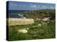 Rocks Along the Coastline of Firmanville-Manche, in Basse Normandie, France, Europe-Michael Busselle-Premier Image Canvas