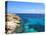 Rocks and Sea, Trapani, Favignana Island, Sicily, Italy, Mediterranean, Europe-Vincenzo Lombardo-Premier Image Canvas