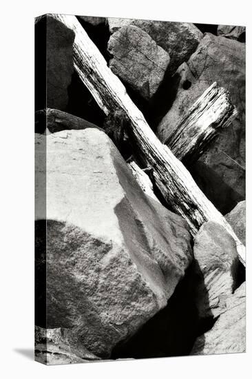 Rocks and Wood II BW-Alan Hausenflock-Premier Image Canvas
