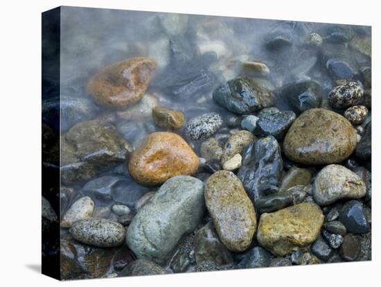 Rocks at edge of river, Eagle Falls, Snohomish County, Washington State, USA-Corey Hilz-Premier Image Canvas