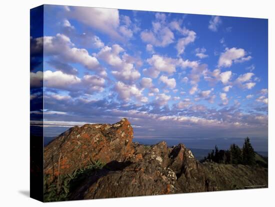 Rocks Covered with Lichen, Deer Park, Olympic National Park, Washington State, USA-Aaron McCoy-Premier Image Canvas