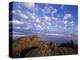 Rocks Covered with Lichen, Deer Park, Olympic National Park, Washington State, USA-Aaron McCoy-Premier Image Canvas