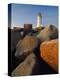 Rocks near Peggy's Cove Light-Ron Watts-Premier Image Canvas