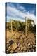 Rocks Vineyard, Washington, USA-Richard Duval-Premier Image Canvas