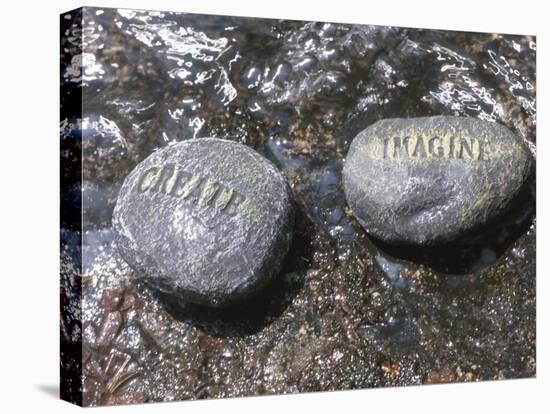 Rocks with the Words Imagine and Create in Water-null-Premier Image Canvas