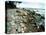 Rocky Coastline and Rainbow, Jasmund National Park, Island of Ruegen, Germany-Christian Ziegler-Premier Image Canvas