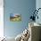 Rocky Harbour (Oil on Board)-William Ireland-Premier Image Canvas displayed on a wall