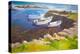 Rocky Harbour (Oil on Board)-William Ireland-Premier Image Canvas