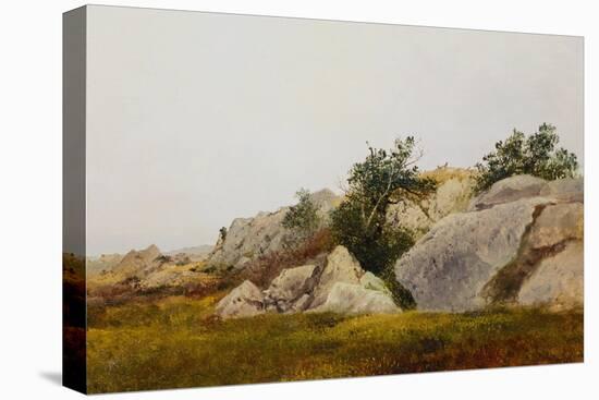 Rocky Landscape-John Frederick Kensett-Premier Image Canvas